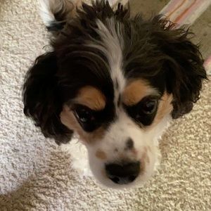 Meet your Posher, Nate